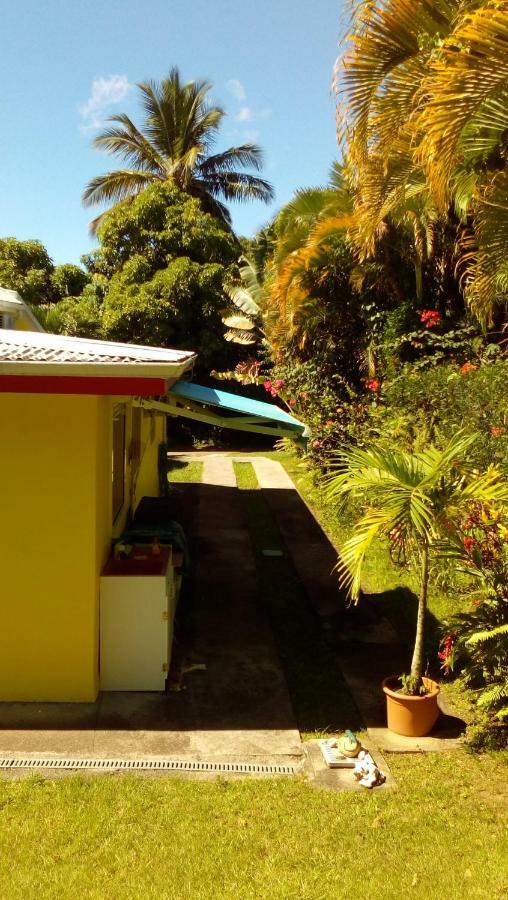 Passion Caraibes Daire Saint-Claude Dış mekan fotoğraf